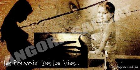 Le pouvoir de la vie